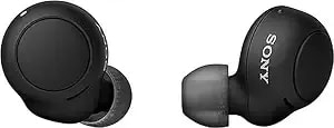 Sony True Wireless Headphones - Up To 20 Hours Battery - Charging Case - Voice A