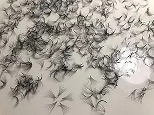 7d Premade (Hand Made) Fan Lashes (500 Fans/Tray) For Eyelash Extension, C Curl And D Curl, 0.07 Thickness, Length From 10mm-15mm (d14mm7d)