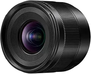 Panasonic Lumix Micro Four Thirds Camera Lens, Leica Dg Summilux 9mm f1.7 Asph, Large Aperture, Video Performance, H-x09