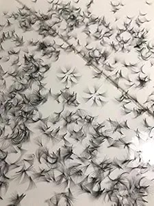 10d Premade (Hand Made) Fan Lashes (500 Fans/Tray) For Eyelash Extension, D Curl, 0.07 Thickness, Length From 10mm-15mm (d13mm10d)